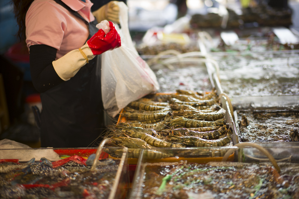 高雄蚵仔寮漁港觀光魚市現埸記實