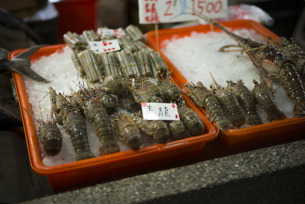 高雄蚵仔寮漁港觀光魚市現埸記實