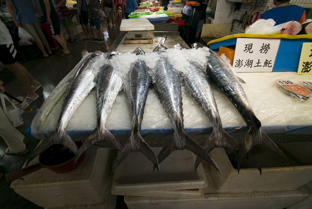 高雄蚵仔寮漁港觀光魚市現埸記實