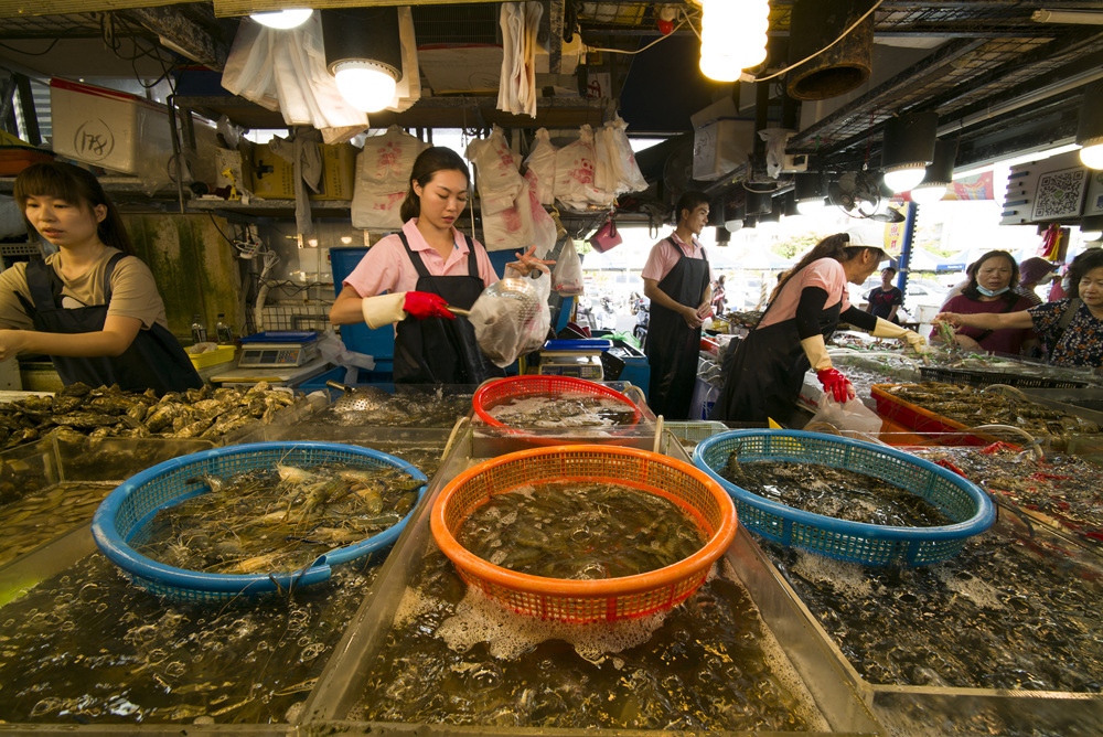 高雄蚵仔寮漁港觀光魚市現埸記實