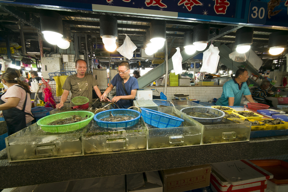 高雄蚵仔寮漁港觀光魚市現埸記實