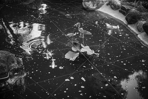 Leica M Monochrom M246高雄橋頭糖廠廠長宿舍 黑銅觀音像 糖廠社宅事務所黑白拍 Wangsir的部落格 痞客邦 Leica M Monochrom M246高雄橋頭糖廠廠長宿舍 黑銅觀音像 糖廠社宅事務所黑白拍 Wangsir的部落格 痞客邦