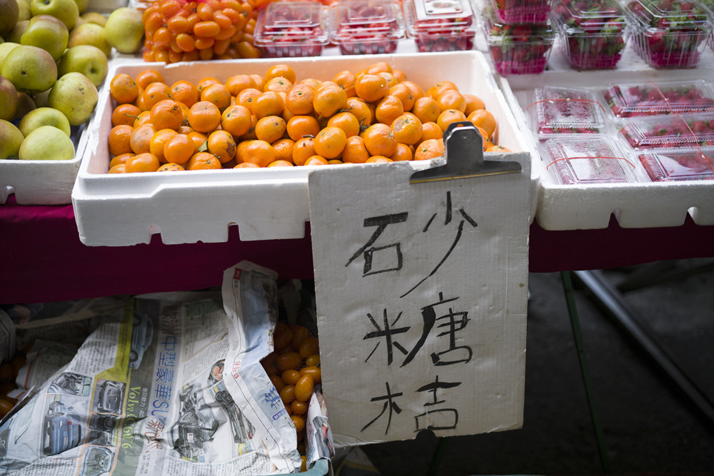 Leica Apo Summicron-M 50mm f2 ASPH轉接Leica SL2果貿市場測試