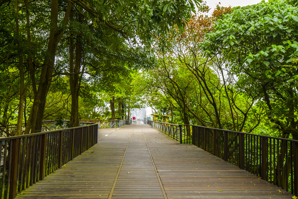 高屏舊鐵橋