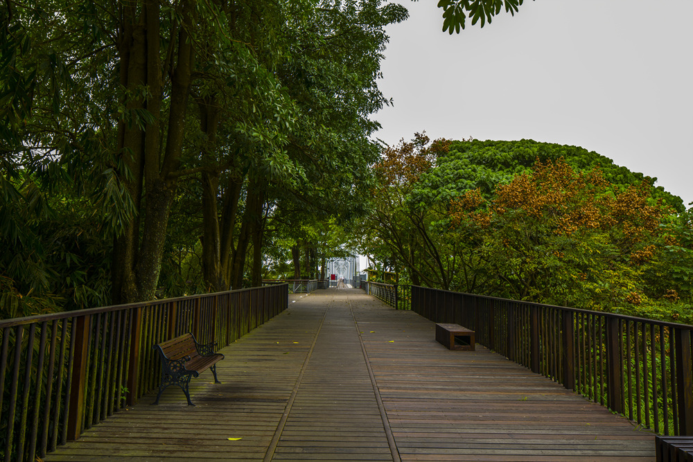 高屏舊鐵橋