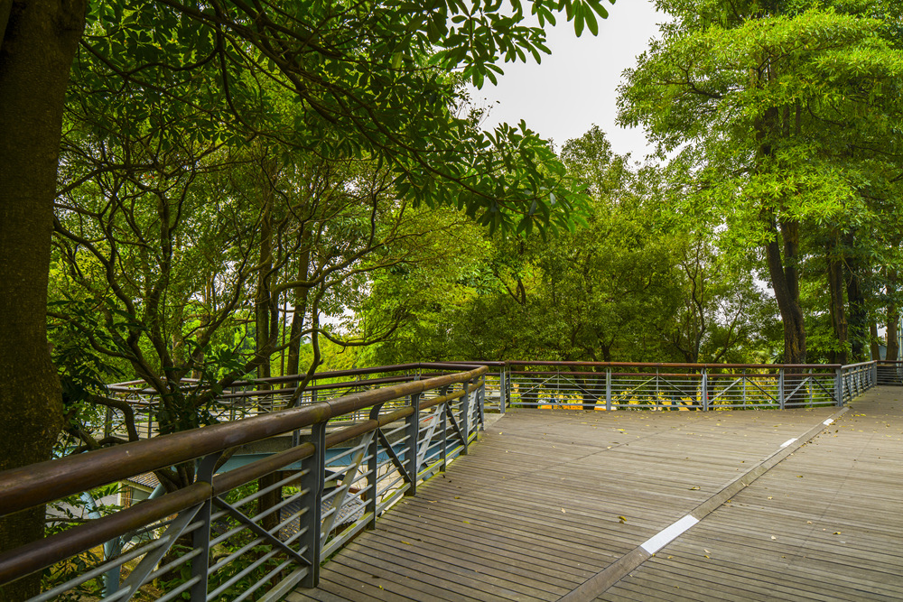 高屏舊鐵橋