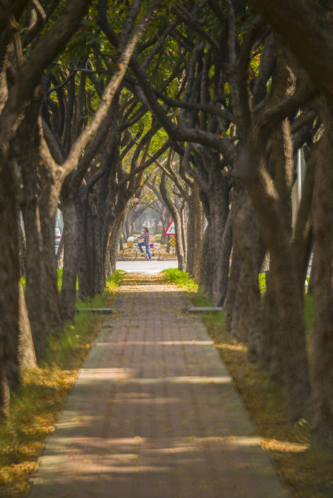 Minolta RF Rokkor 250mm F5.6轉接Leica M240測試