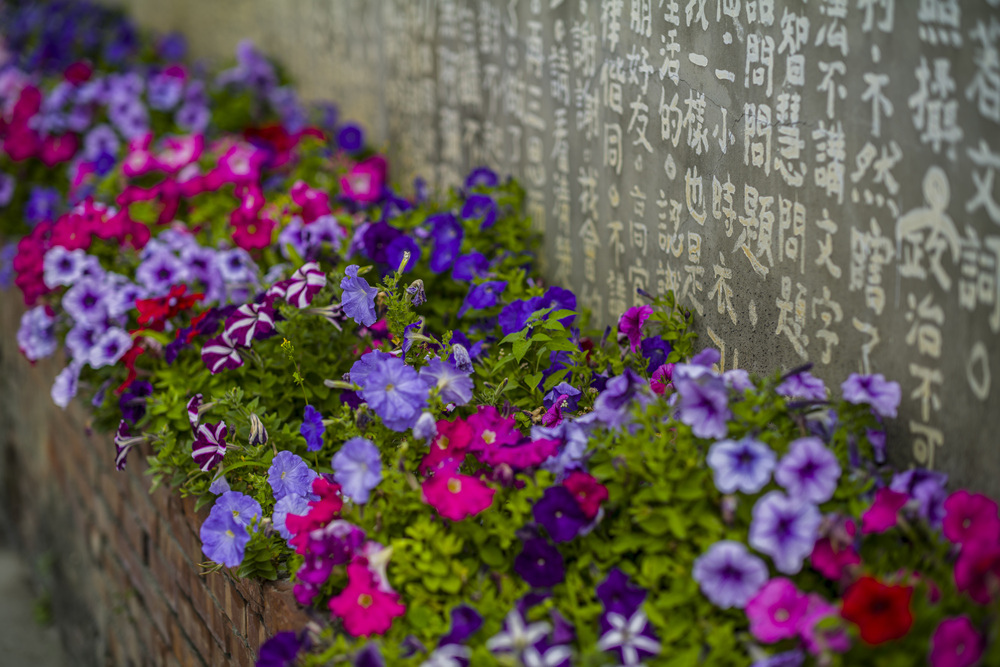 雲林口湖鄉梧北社區