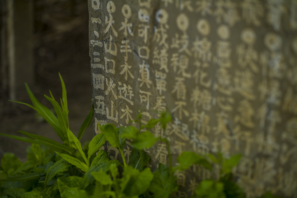 雲林口湖鄉梧北社區