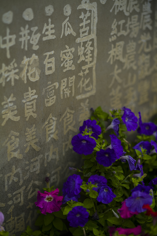 雲林口湖鄉梧北社區