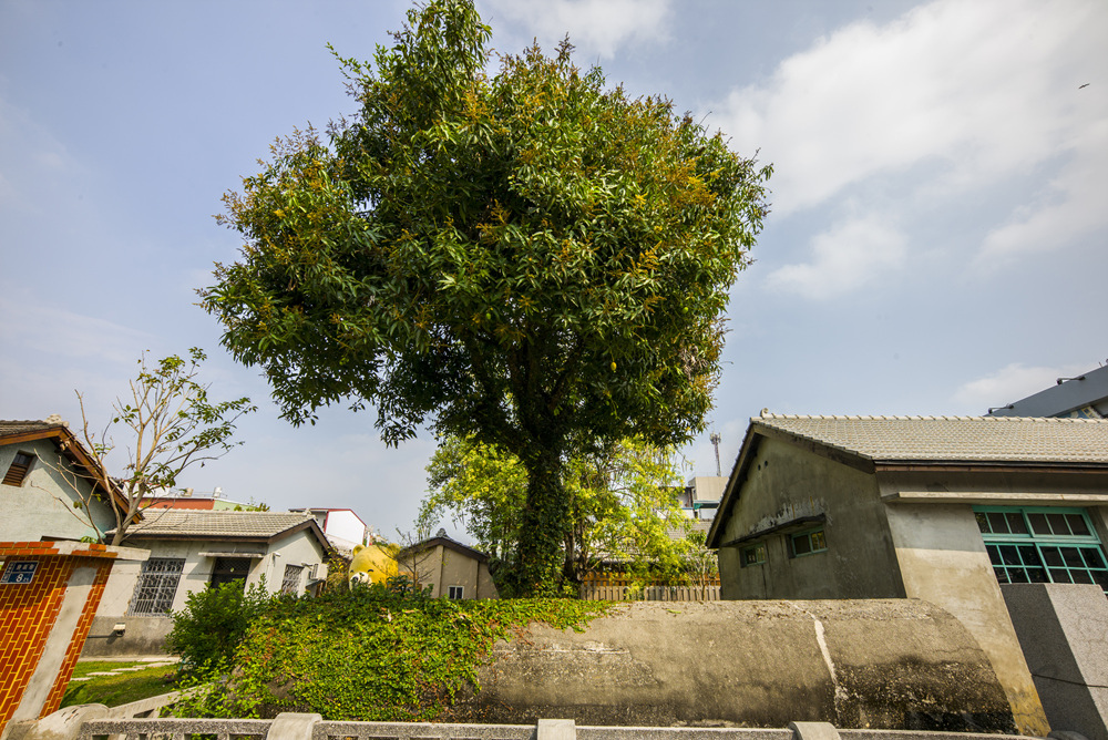 Leica Tri-Elmar-M 16-18-21mm F4 ASPH再次入手測試文