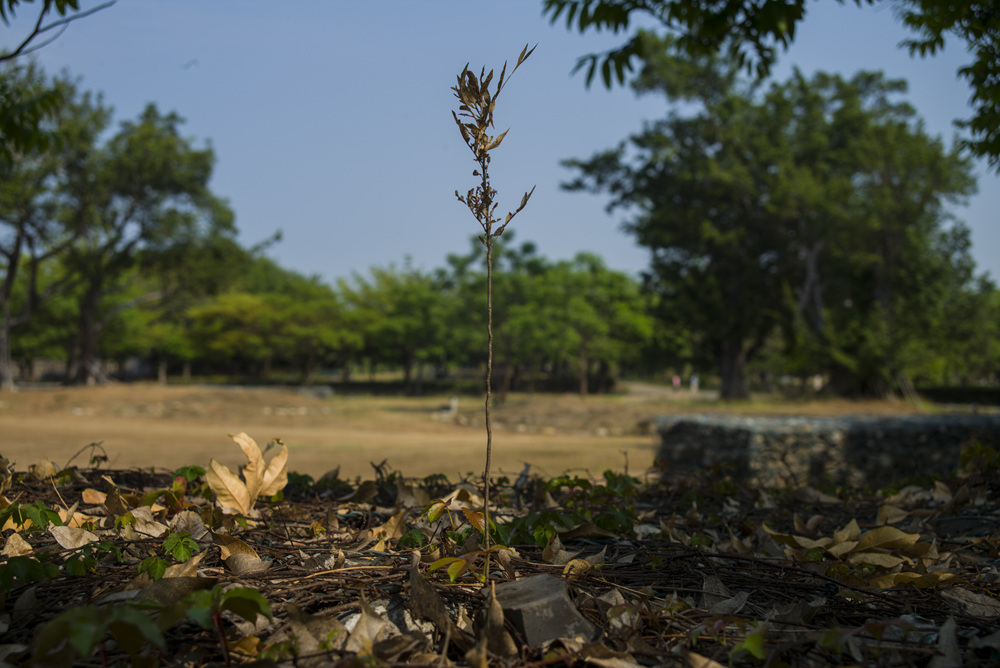 Leica Tri-Elmar-M 28-35-50mm f4.0 ASPH E49 V2二手開箱測試文