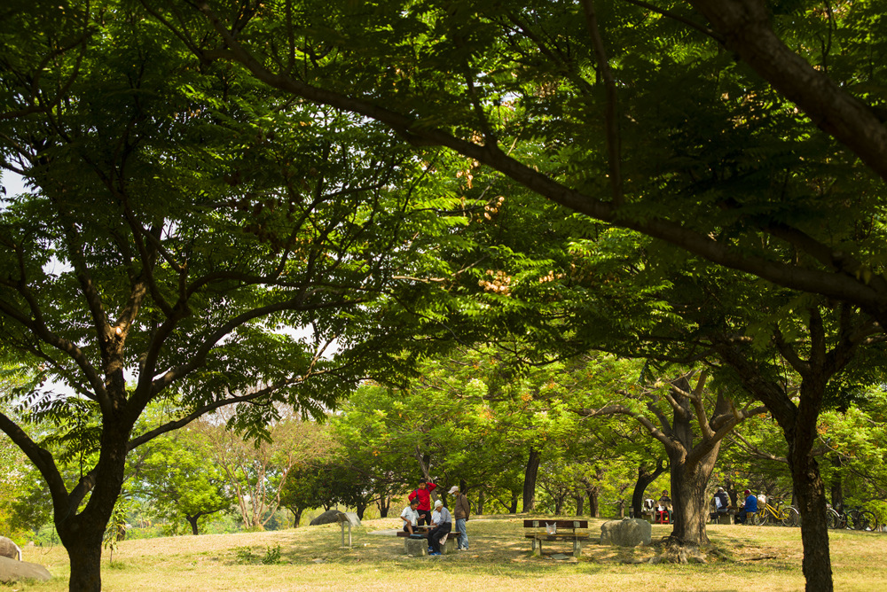 Leica Tri-Elmar-M 28-35-50mm f4.0 ASPH E49 V2二手開箱測試文