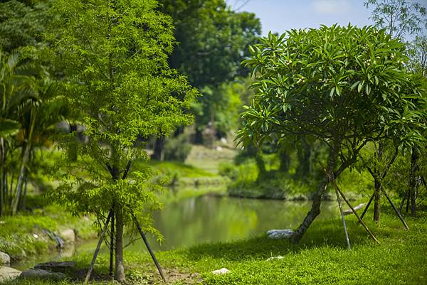 高雄世運主場館生態景觀公園