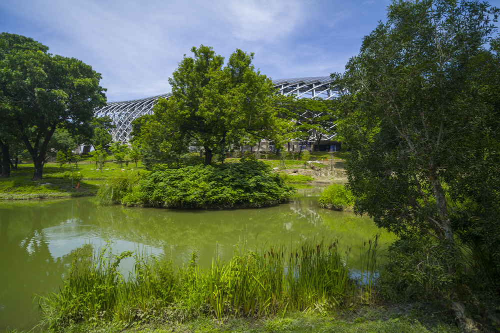 高雄世運主場館生態景觀公園