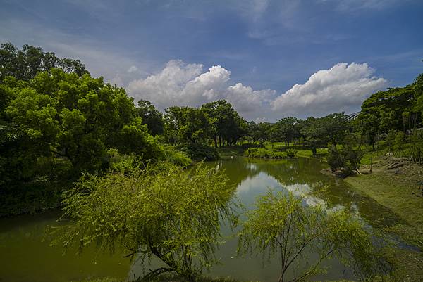 高雄世運主場館生態景觀公園