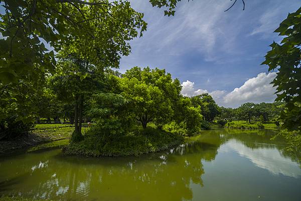 高雄世運主場館生態景觀公園