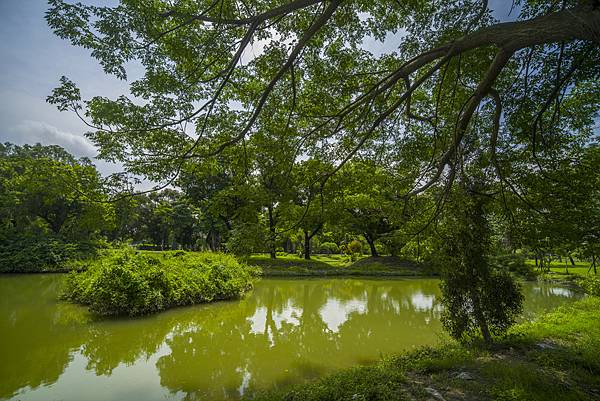 高雄世運主場館生態景觀公園