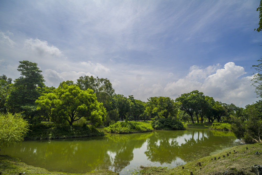 高雄世運主場館生態景觀公園