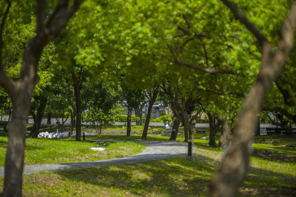 高雄世運主場館生態景觀公園