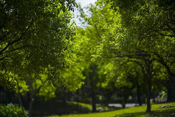 高雄世運主場館生態景觀公園