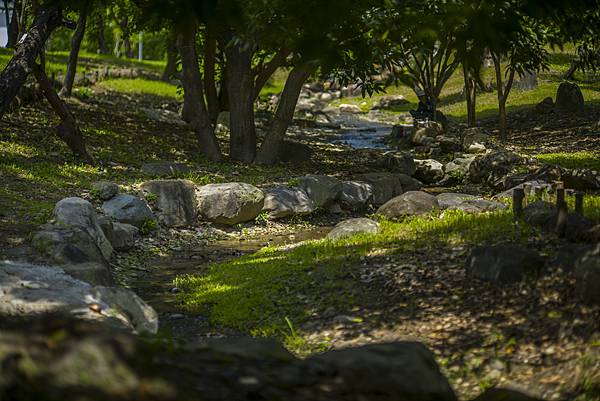 高雄世運主場館生態景觀公園