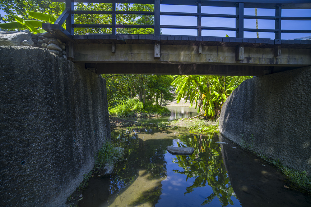 高雄世運主場館生態景觀公園