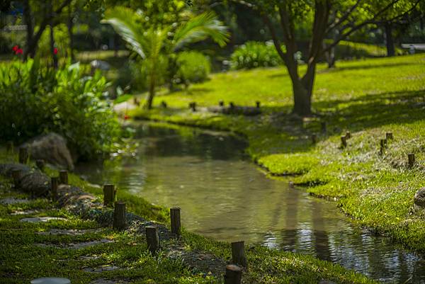 高雄世運主場館生態景觀公園