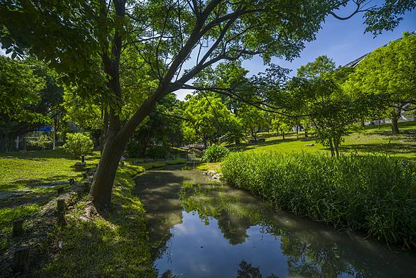 高雄世運主場館生態景觀公園