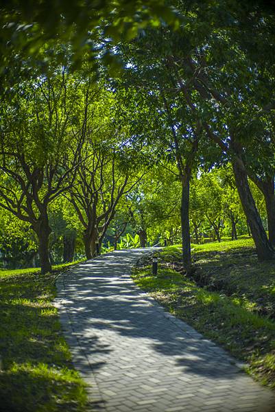 高雄世運主場館生態景觀公園