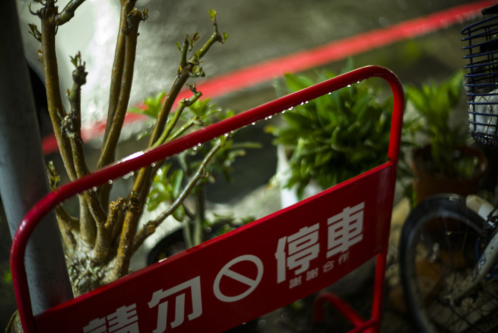 Leica Noctilux 50mm f1.2子夜光影雨隨