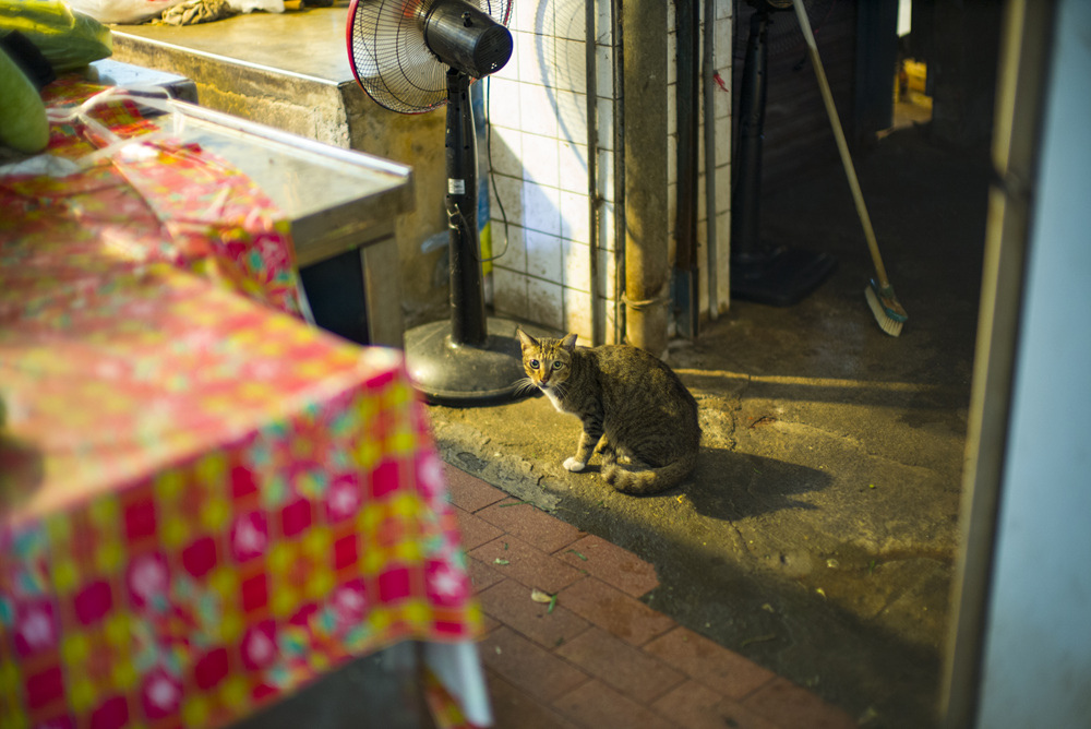 Noctilux 50mm f0.95菜市場巡禮