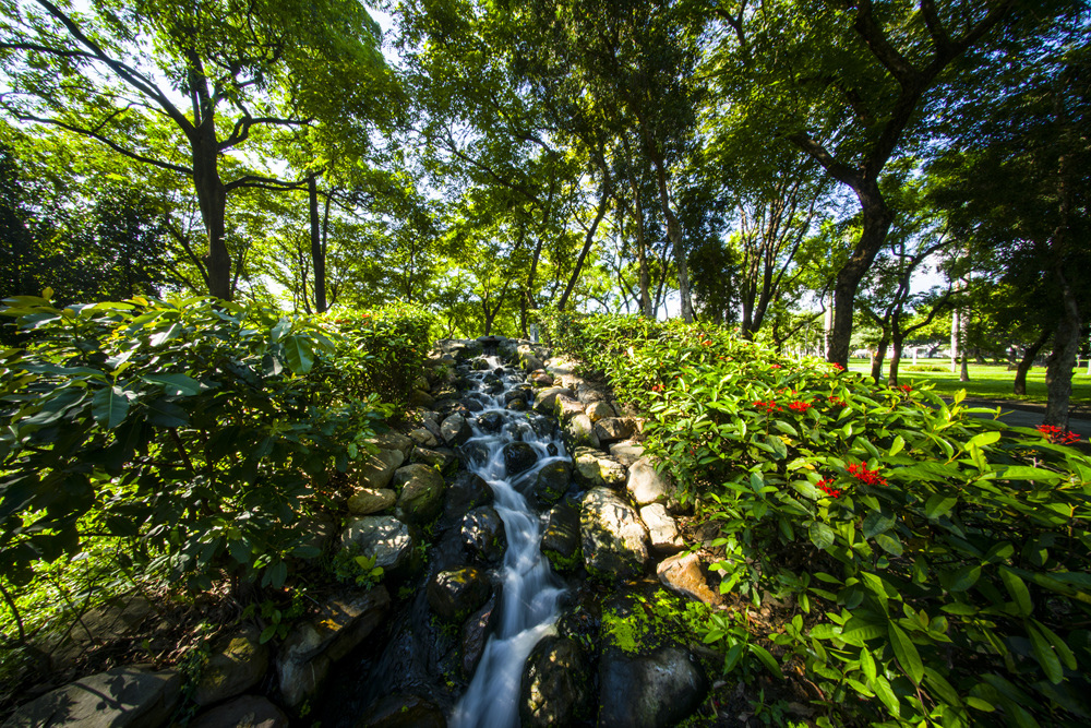 SONY A7R2 轉接 voigtlander vm 10mm f5.6