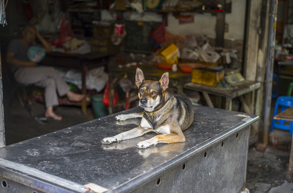 Leica M10-R 開箱評測文主觀分享