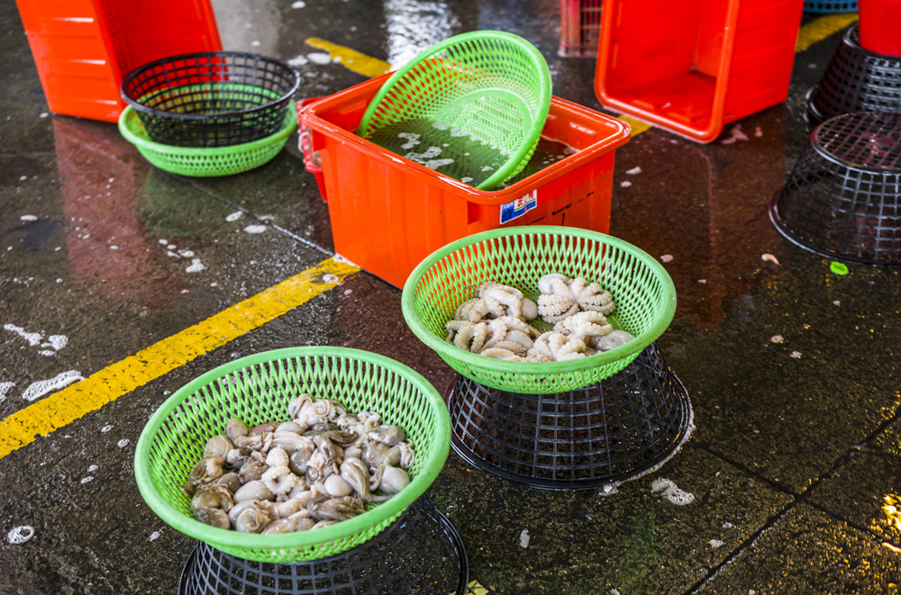 高雄前鎮魚市埸