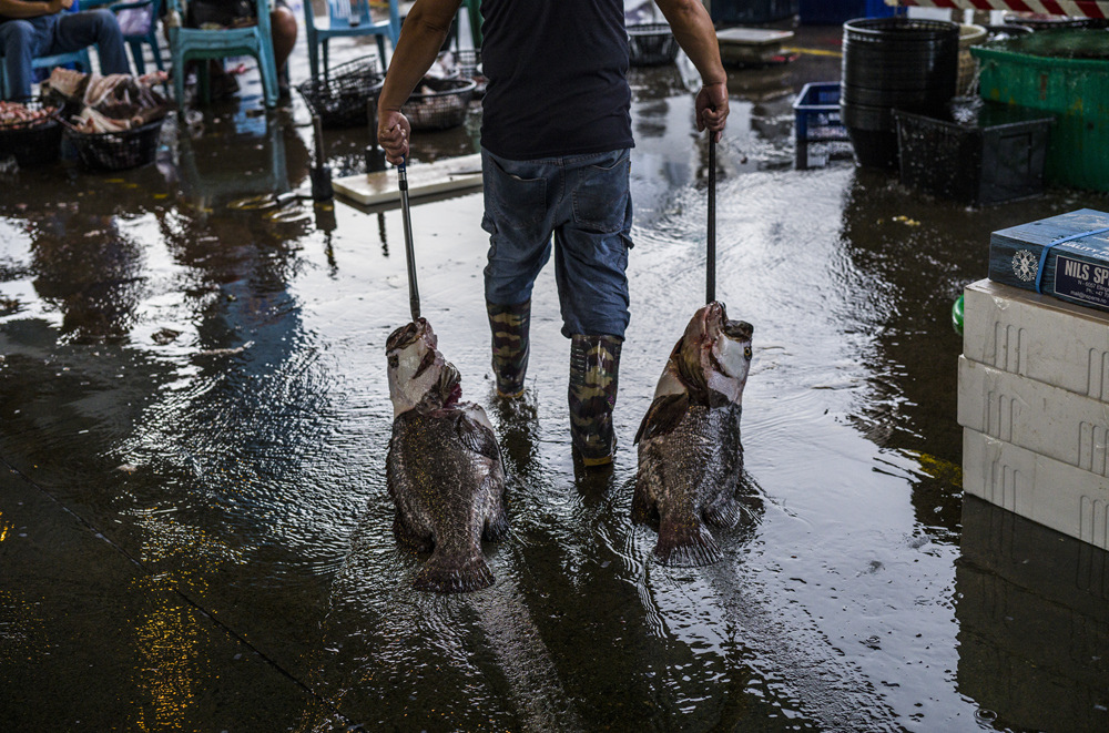 高雄前鎮魚市埸