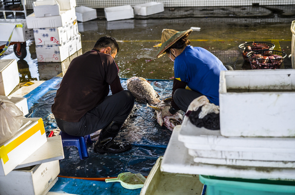 高雄前鎮魚市埸