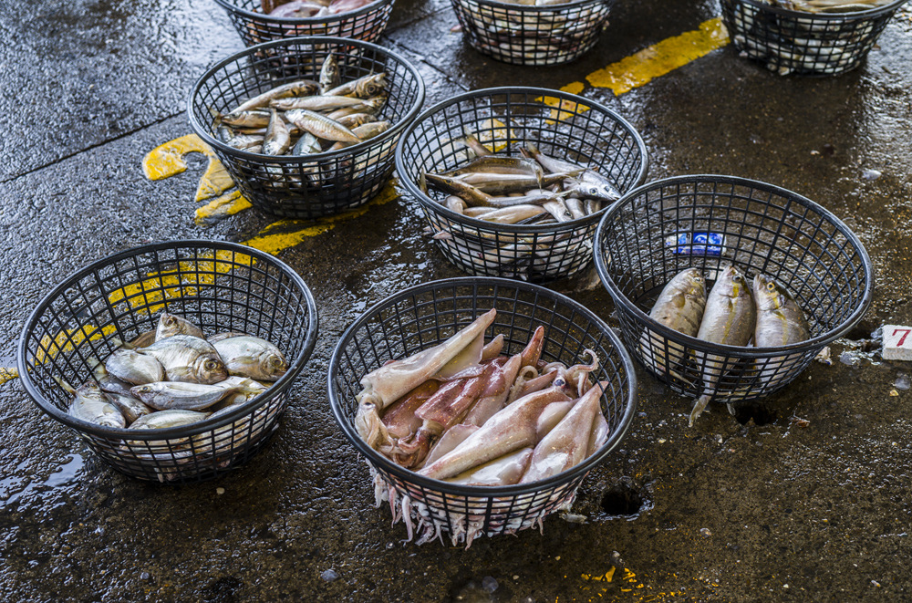 高雄前鎮魚市埸