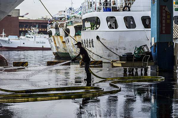 高雄前鎮魚市埸