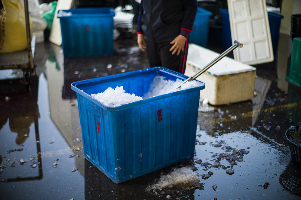 Leica Noctilux 50mm f1.2 ASPH + Leica M9P