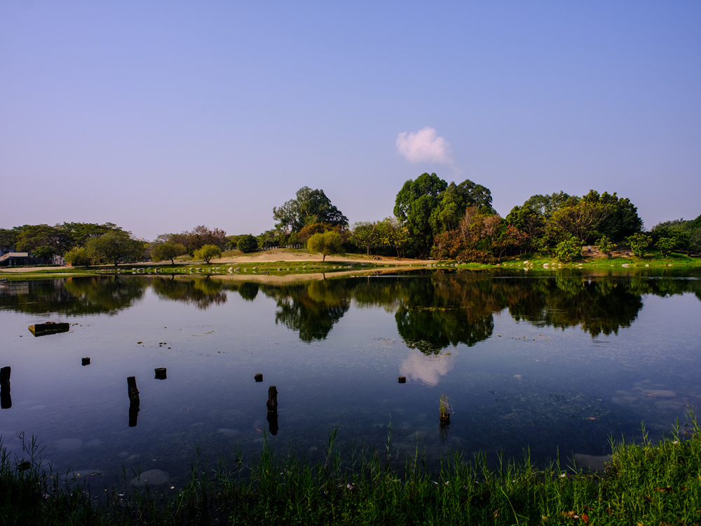 Nikon PC 28mm f3.5移軸鏡頭轉接FUJIFILM GFX50SII主觀分享