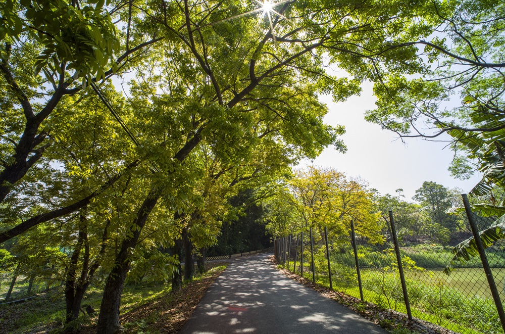 高雄鳳山熱帶園藝試驗分所