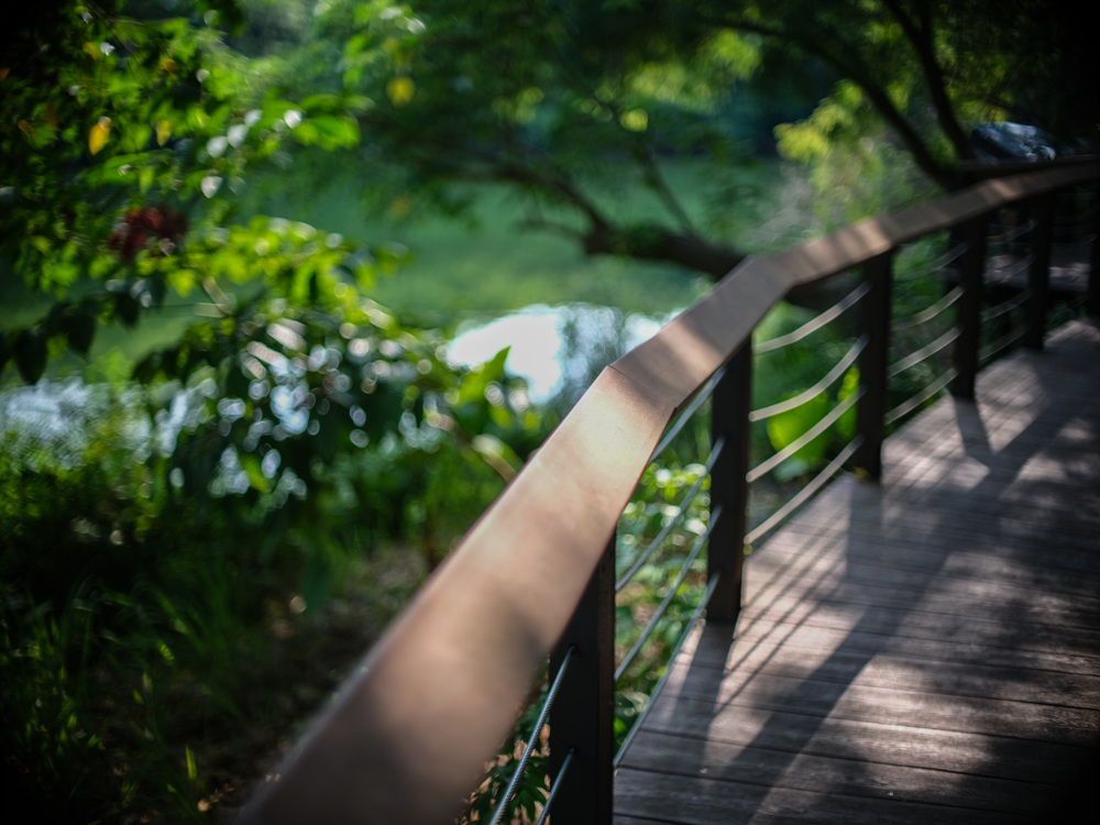 Canon FD 50mm F1.2L 轉接 FUJIFILM GFX50SII