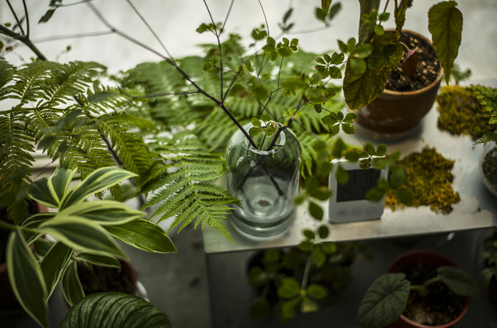 屋物清酒｜nook coffee｜苜一植栽｜屋物日禾文青老屋參訪分享