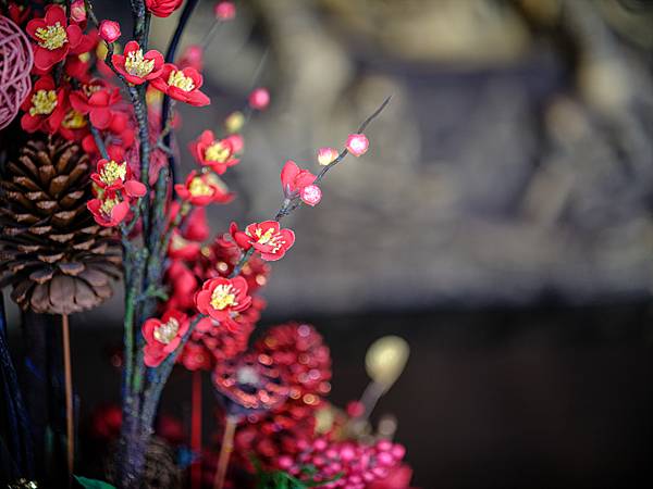 Tamron SP 90mm Macro F2.5 轉接 FUJIFILM GFX50SII