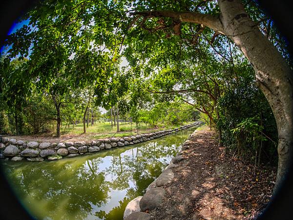 Samyang 12mm F2.8 Fisheye 轉接 FUJIFILM GFX50SII美術館