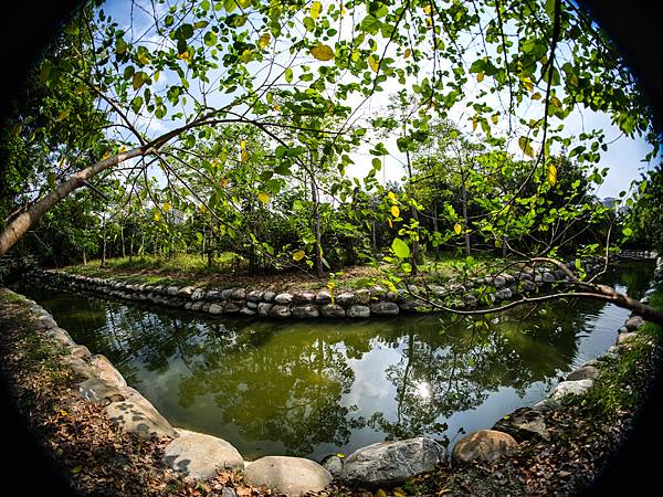 Samyang 12mm F2.8 Fisheye 轉接 FUJIFILM GFX50SII美術館