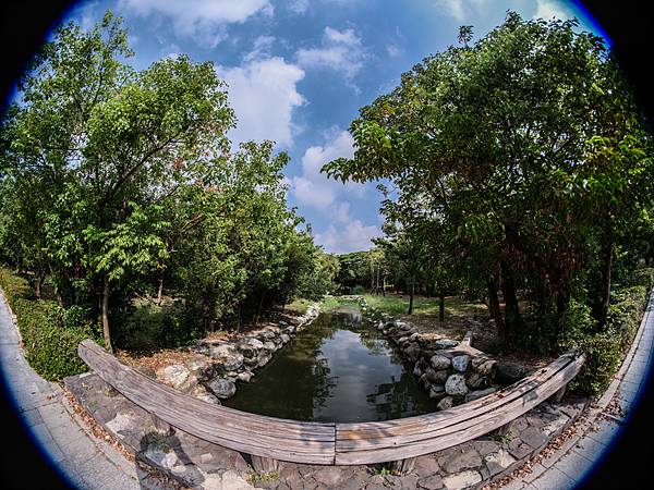 Samyang 12mm F2.8 Fisheye 轉接 FUJIFILM GFX50SII美術館