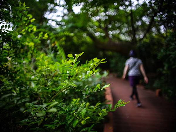 Nikon AF 28mm f1.4 轉接 FUJIFILM GFX50SII