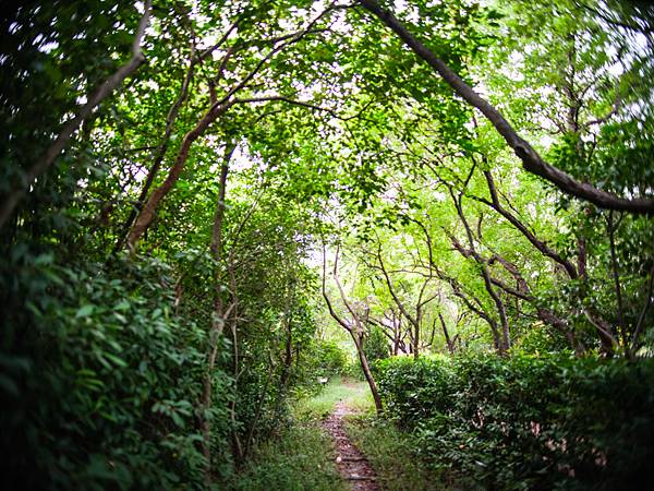 Nikon AF 28mm f1.4 轉接 FUJIFILM GFX50SII